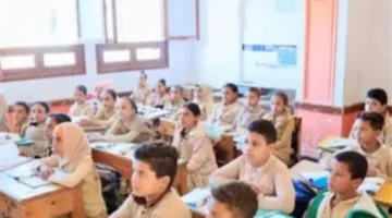 بوابة التعليم الأساسي.. رابط نتائج صفوف النقل بالقاهرة بالرقم القومي لعام 2026